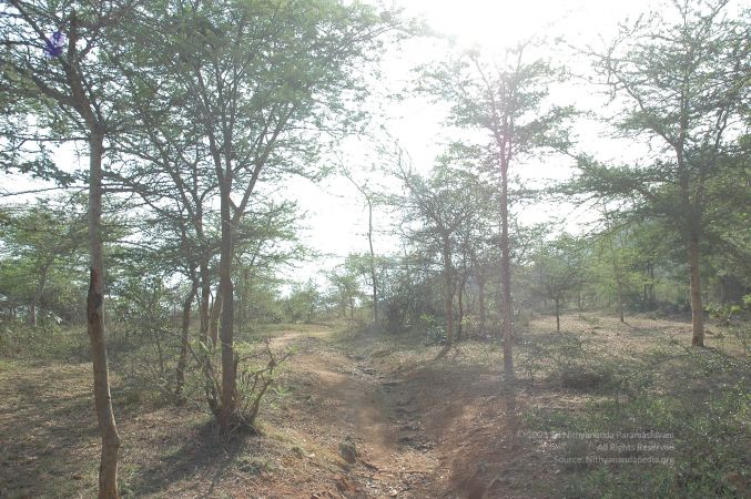 19780101 Inner Girivala Tiruvannamalai 10May2007 291-290.jpg