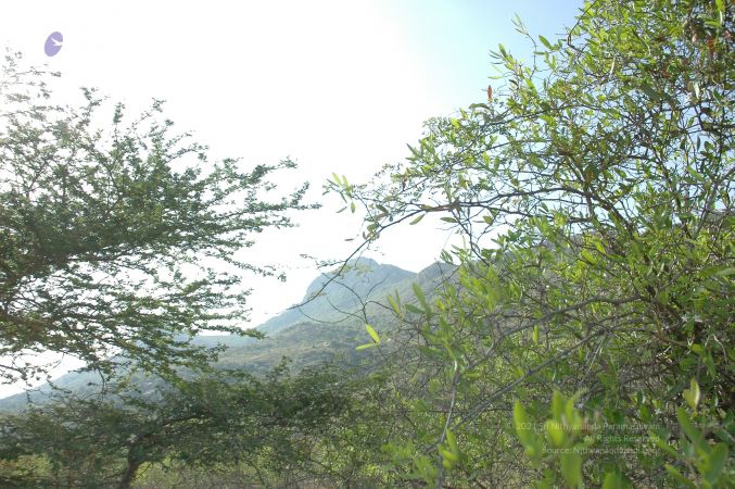 19780101 Inner Girivala Tiruvannamalai 10May2007 305-304.jpg