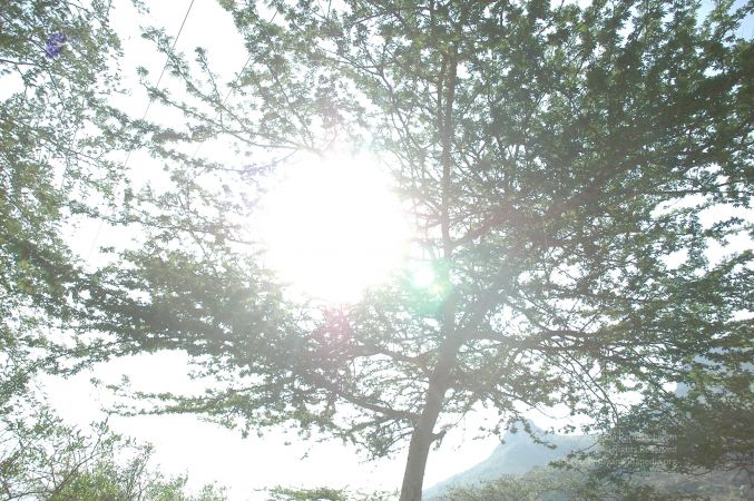 19780101 Inner Girivala Tiruvannamalai 10May2007 306-305.jpg