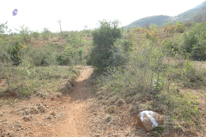 19780101 Inner Girivala Tiruvannamalai 10May2007 310-309.jpg