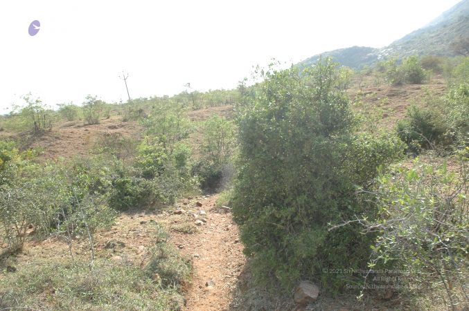 19780101 Inner Girivala Tiruvannamalai 10May2007 311-310.jpg