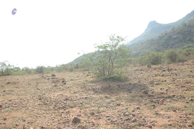 19780101 Inner Girivala Tiruvannamalai 10May2007 329-328.jpg