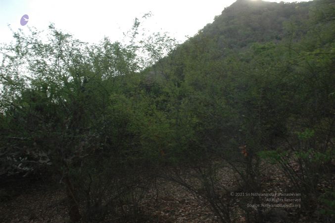 19780101 Inner Girivala Tiruvannamalai 10May2007 34-33.jpg