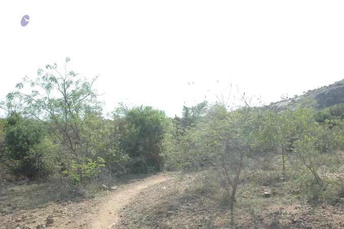 19780101 Inner Girivala Tiruvannamalai 10May2007 344-343.jpg