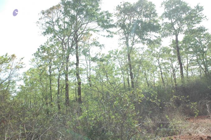 19780101 Inner Girivala Tiruvannamalai 10May2007 365-364.jpg