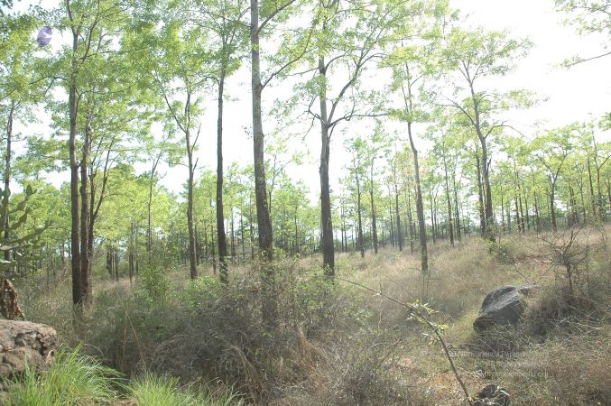 19780101 Inner Girivala Tiruvannamalai 10May2007 381-380.jpg