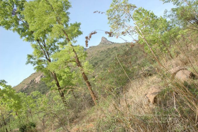 19780101 Inner Girivala Tiruvannamalai 10May2007 383-382.jpg