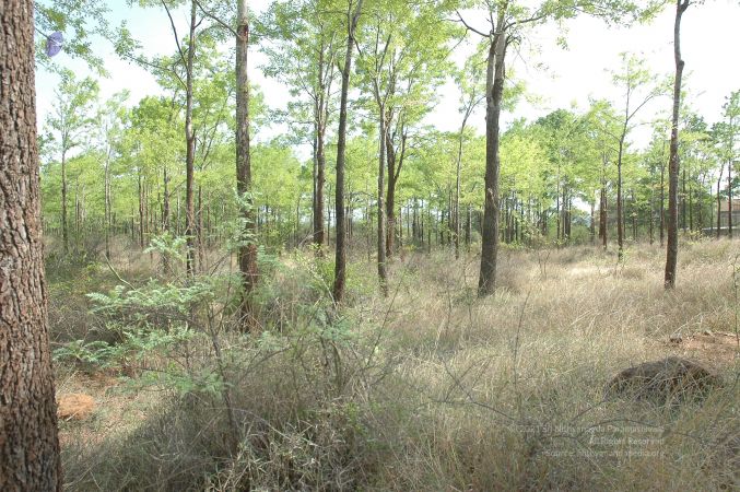 19780101 Inner Girivala Tiruvannamalai 10May2007 385-384.jpg