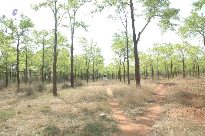 19780101 Inner Girivala Tiruvannamalai 10May2007 408-407.jpg