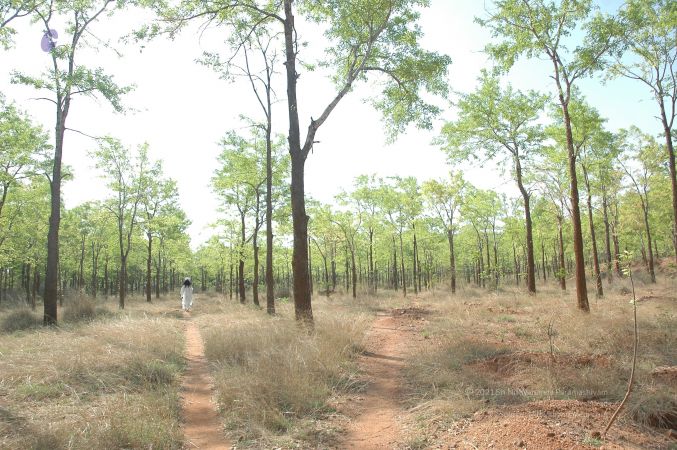 19780101 Inner Girivala Tiruvannamalai 10May2007 409-408.jpg