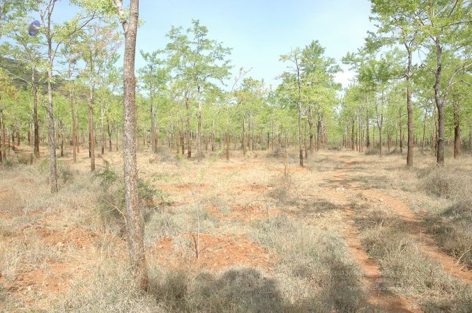 19780101 Inner Girivala Tiruvannamalai 10May2007 414-413.jpg