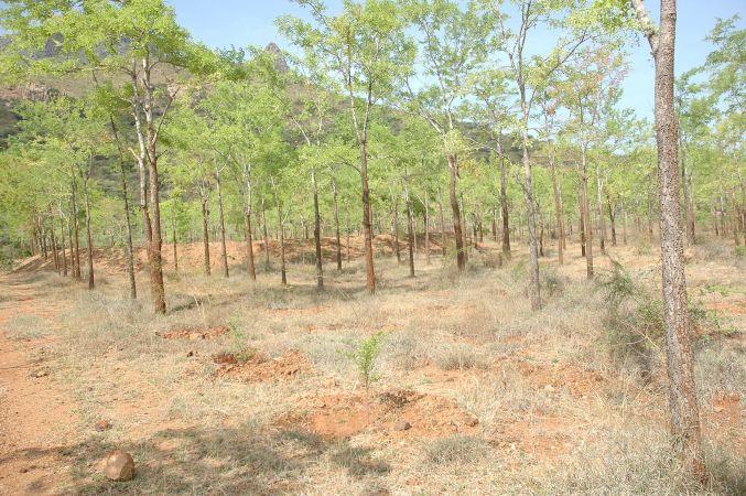 19780101 Inner Girivala Tiruvannamalai 10May2007 415-414.jpg