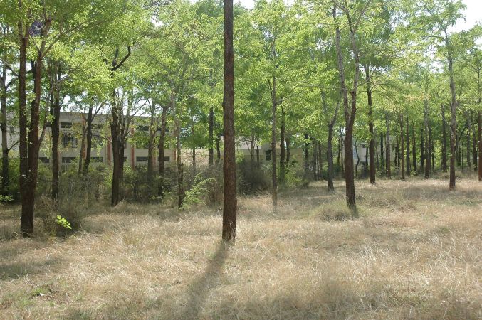 19780101 Inner Girivala Tiruvannamalai 10May2007 420-419.jpg