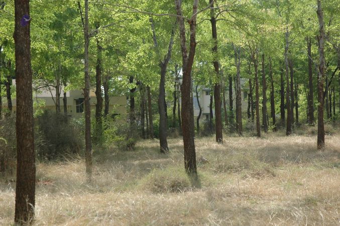 19780101 Inner Girivala Tiruvannamalai 10May2007 421-420.jpg