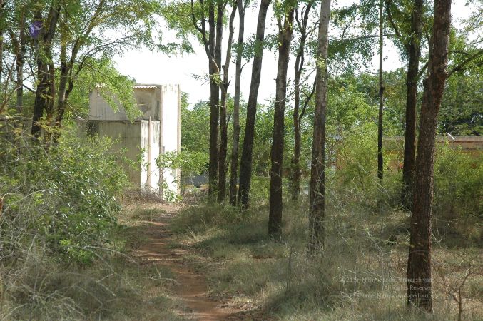 19780101 Inner Girivala Tiruvannamalai 10May2007 422-421.jpg