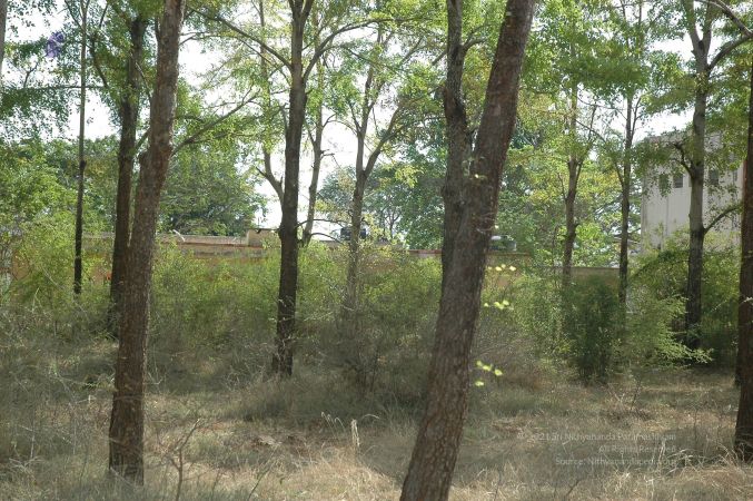 19780101 Inner Girivala Tiruvannamalai 10May2007 423-422.jpg