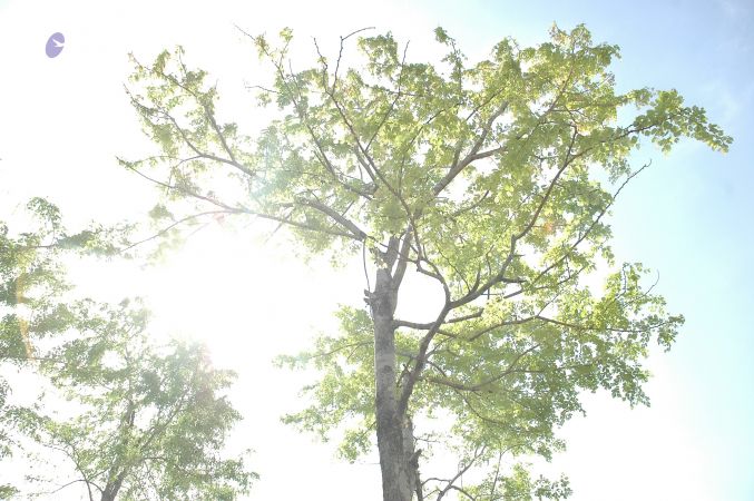 19780101 Inner Girivala Tiruvannamalai 10May2007 425-424.jpg