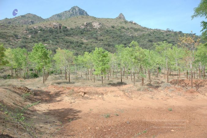 19780101 Inner Girivala Tiruvannamalai 10May2007 429-428.jpg