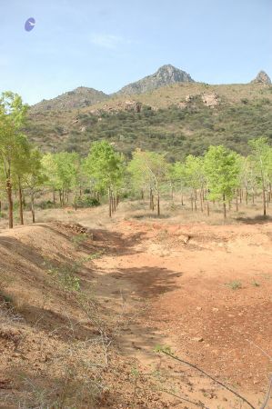 19780101 Inner Girivala Tiruvannamalai 10May2007 432-431.jpg