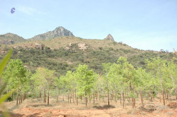 19780101 Inner Girivala Tiruvannamalai 10May2007 436-435.jpg