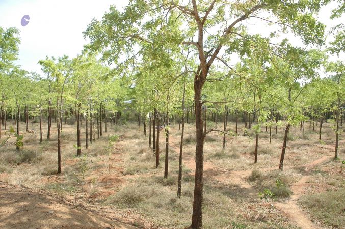 19780101 Inner Girivala Tiruvannamalai 10May2007 447-446.jpg