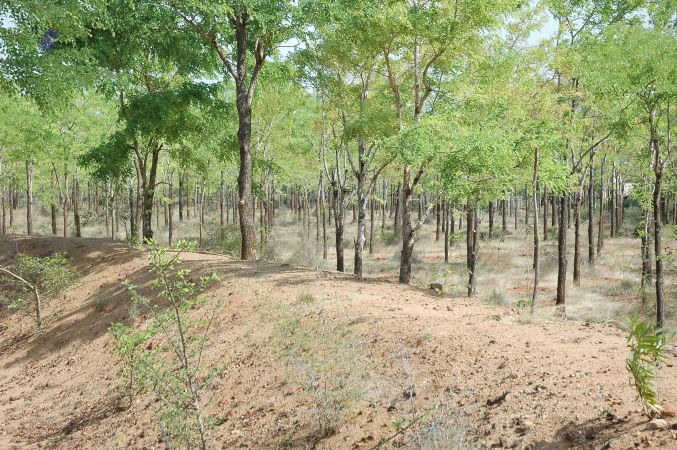 19780101 Inner Girivala Tiruvannamalai 10May2007 452-451.jpg