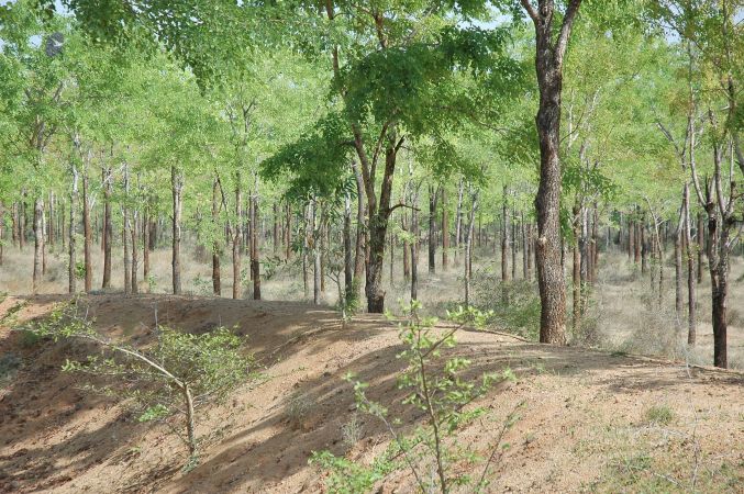 19780101 Inner Girivala Tiruvannamalai 10May2007 454-453.jpg