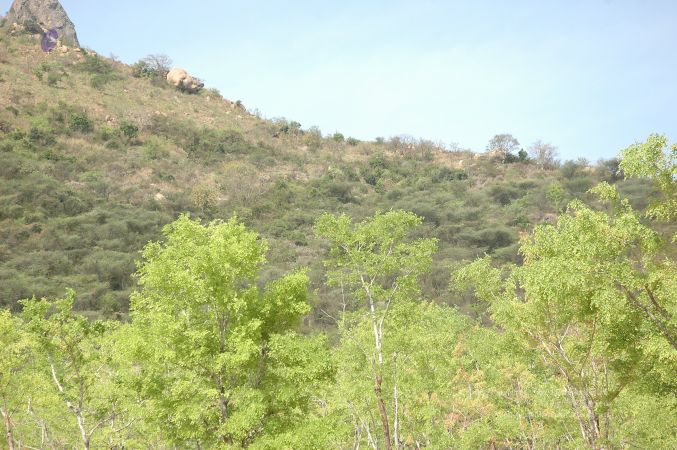 19780101 Inner Girivala Tiruvannamalai 10May2007 468-467.jpg