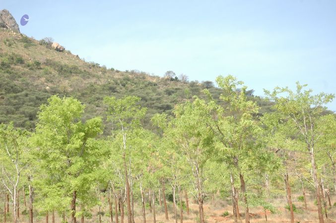 19780101 Inner Girivala Tiruvannamalai 10May2007 470-469.jpg