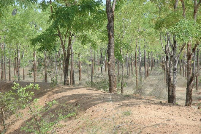 19780101 Inner Girivala Tiruvannamalai 10May2007 476-475.jpg