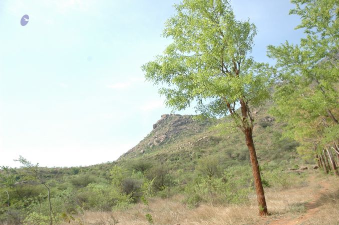 19780101 Inner Girivala Tiruvannamalai 10May2007 489-488.jpg