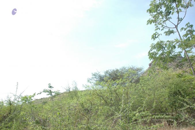 19780101 Inner Girivala Tiruvannamalai 10May2007 498-497.jpg