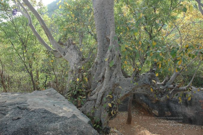 19780101 Inner Girivala Tiruvannamalai 10May2007 50-49.jpg