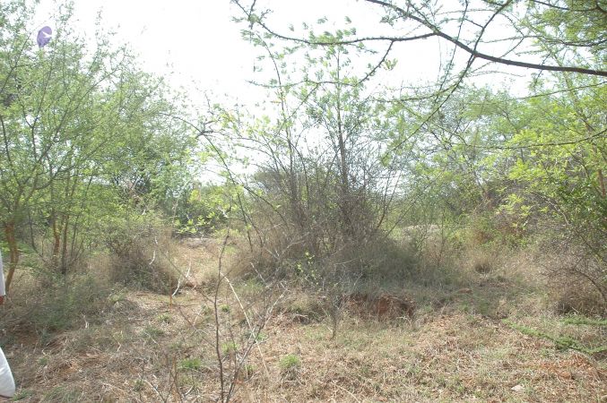 19780101 Inner Girivala Tiruvannamalai 10May2007 506-505.jpg