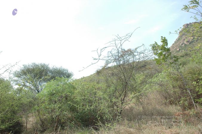 19780101 Inner Girivala Tiruvannamalai 10May2007 515-514.jpg