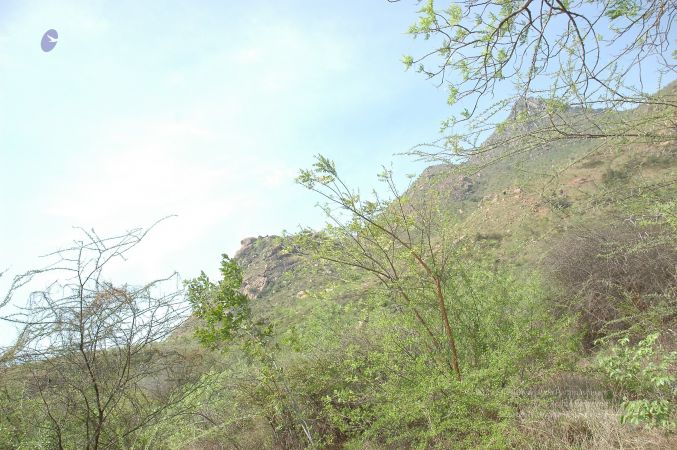 19780101 Inner Girivala Tiruvannamalai 10May2007 516-515.jpg