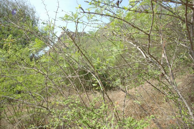 19780101 Inner Girivala Tiruvannamalai 10May2007 518-517.jpg