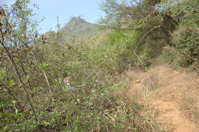 19780101 Inner Girivala Tiruvannamalai 10May2007 527-526.jpg