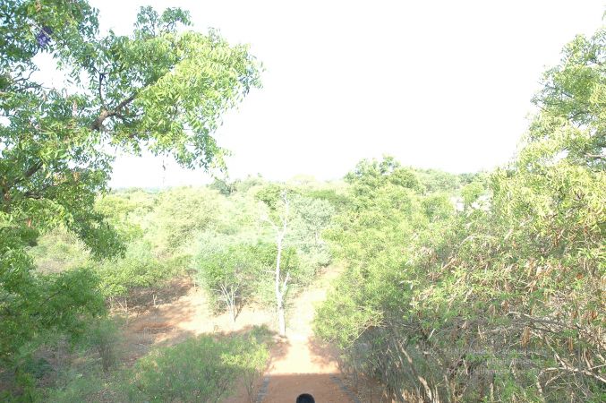 19780101 Inner Girivala Tiruvannamalai 10May2007 55-54.jpg