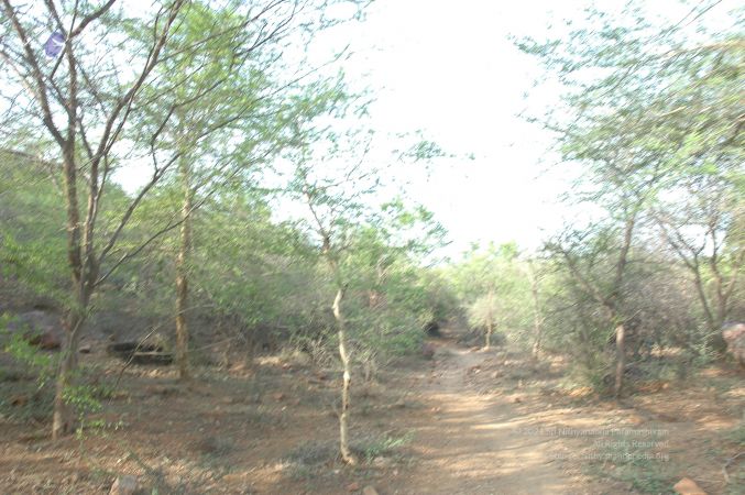 19780101 Inner Girivala Tiruvannamalai 10May2007 75-74.jpg