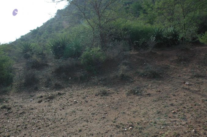 19780101 Inner Girivala Tiruvannamalai 10May2007 81-80.jpg