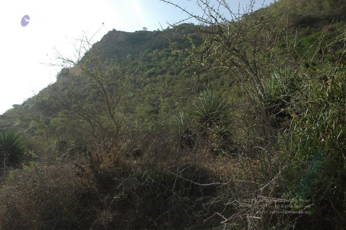 19780101 Inner Girivala Tiruvannamalai 10May2007 86-85.jpg