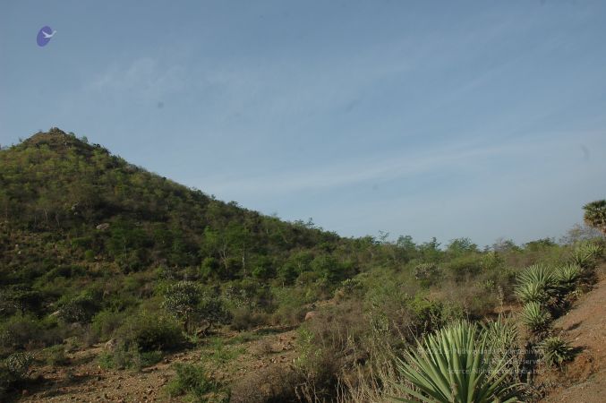 19780101 Inner Girivala Tiruvannamalai 10May2007 91-90.jpg
