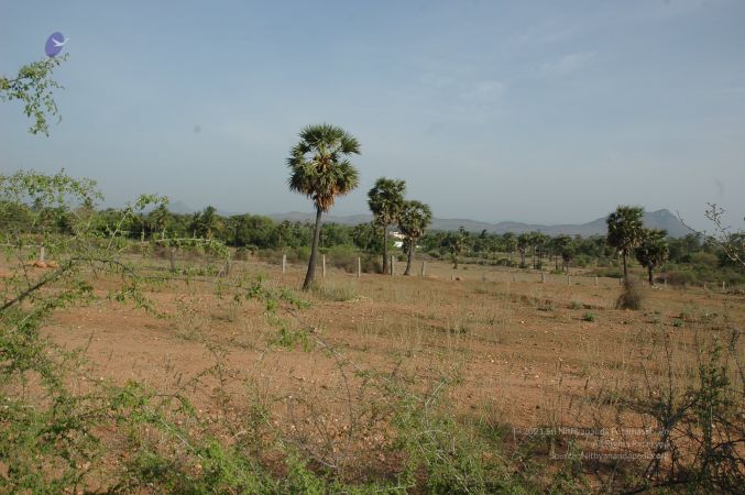19780101 Inner Girivala Tiruvannamalai 10May2007 92-91.jpg