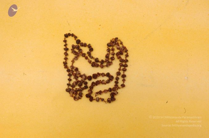 19780101 Photo 103 1PlNcn6 P8LeGQKlfq8lO59u9hSopyJ-V.jpg