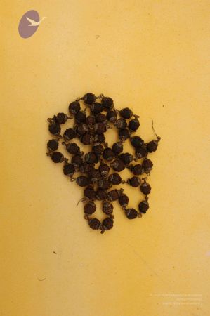 19780101 Photo 107 1tdpguu9TnYvRhVsAyHKPlKG5obdZUNTe.jpg