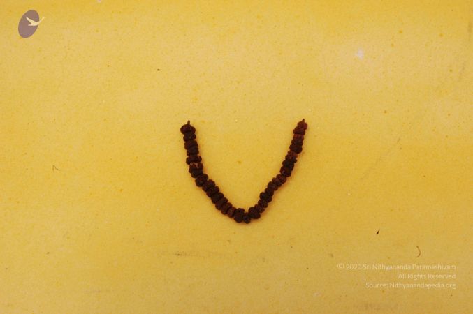 19780101 Photo 114 11HPKXC4j1CSMO4 R1oJw7PEbl13d46vL.jpg