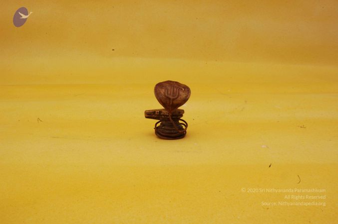 19780101 Photo 133 1Q9f VMLku4ofqYWHeIbd9hQ6CDoZReYU.jpg