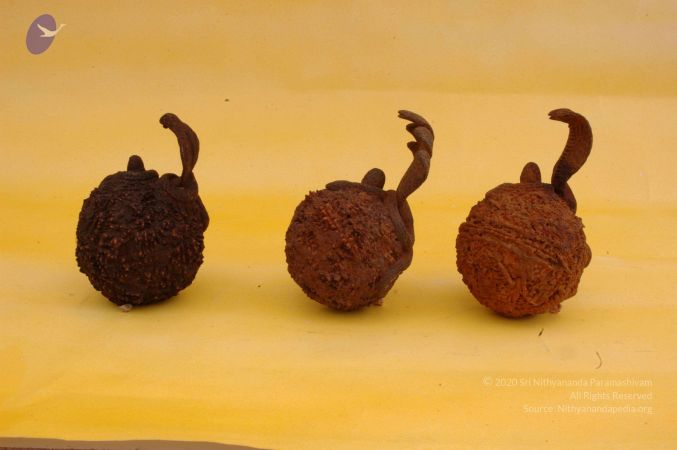 19780101 Photo 41 1B8RyOOa1useig4o5s-fbD8fwoe-1XADx.jpg