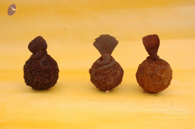 19780101 Photo 42 14dWN-5dASF8vl8KDkfla5W22xBW73Yt0.jpg